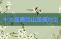 十大最危险山路是什么