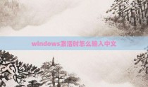 windows激活时怎么输入中文