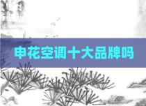 申花空调十大品牌吗
