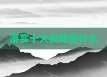落实十大战略是什么