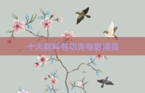十大教科书功夫电影演员