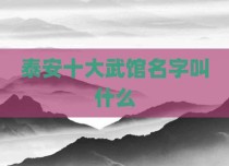 泰安十大武馆名字叫什么