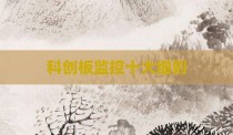 科创板监控十大细则