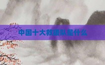 中国十大救援队是什么