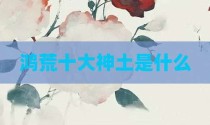 鸿荒十大神土是什么