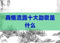 真情流露十大劲歌是什么