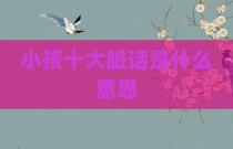 小孩十大脏话是什么意思