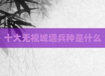 十大无视城墙兵种是什么
