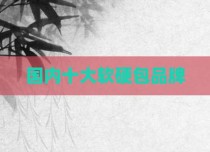 国内十大软硬包品牌