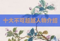 十大不可超越人物介绍