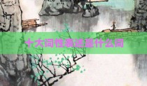 十大词性表述是什么词