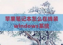 苹果笔记本怎么在线装windows系统