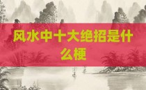 风水中十大绝招是什么梗