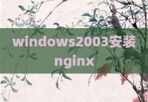 windows2003安装nginx