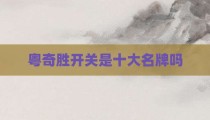 粤奇胜开关是十大名牌吗