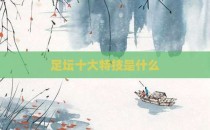足坛十大特技是什么