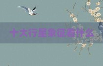 十大行星象征着什么