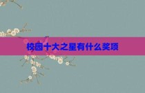校园十大之星有什么奖项