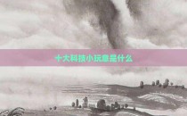 十大科技小玩意是什么