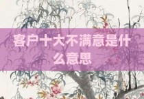 客户十大不满意是什么意思