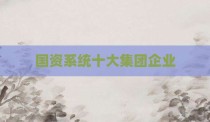国资系统十大集团企业