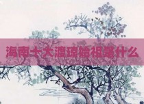 海南十大渡琼始祖是什么
