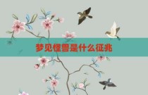 梦见怪兽是什么征兆