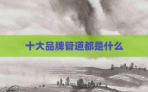 十大品牌管道都是什么