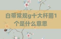 白带常规g十大杆菌1个是什么意思