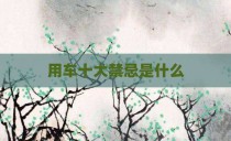 用车十大禁忌是什么