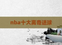 nba十大离奇进球