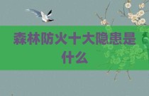 森林防火十大隐患是什么
