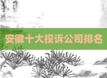 安徽十大投诉公司排名