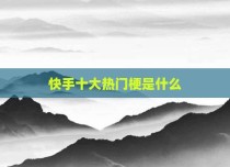 快手十大热门梗是什么