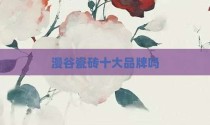 漫谷瓷砖十大品牌吗