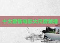 十大爱情电影大尺度禁播