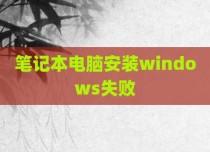 笔记本电脑安装windows失败