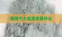 苗族十大血泪史是什么