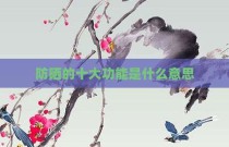 防晒的十大功能是什么意思