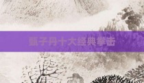 甄子丹十大经典拳击