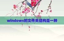 windows的文件夹结构是一种