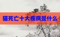 猫死亡十大疾病是什么