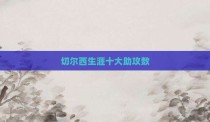 切尔西生涯十大助攻数