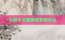 小说十大男神名字叫什么