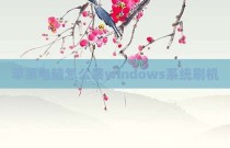 苹果电脑怎么装windows系统刷机