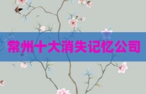 常州十大消失记忆公司
