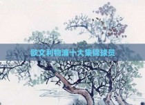 欧文利物浦十大集锦球员
