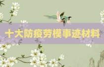 十大防疫劳模事迹材料
