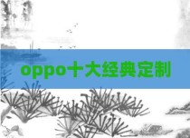 oppo十大经典定制