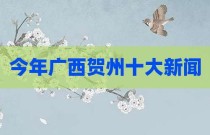 今年广西贺州十大新闻